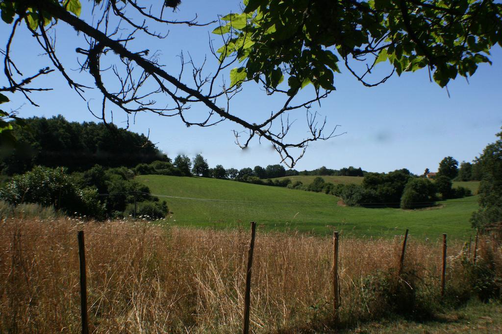 Domaine De Romefort Saint-Léonard-de-Noblat Esterno foto