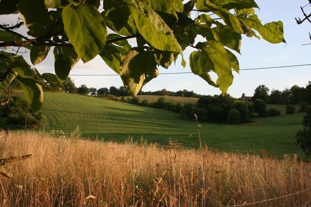 Domaine De Romefort Saint-Léonard-de-Noblat Camera foto
