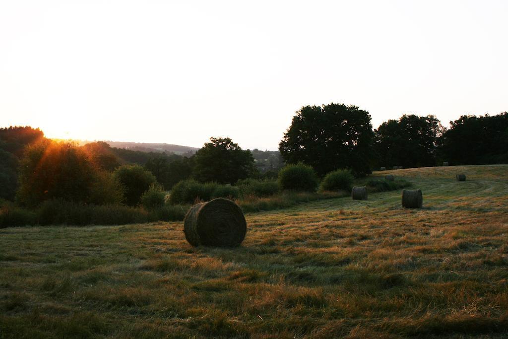 Domaine De Romefort Saint-Léonard-de-Noblat Camera foto